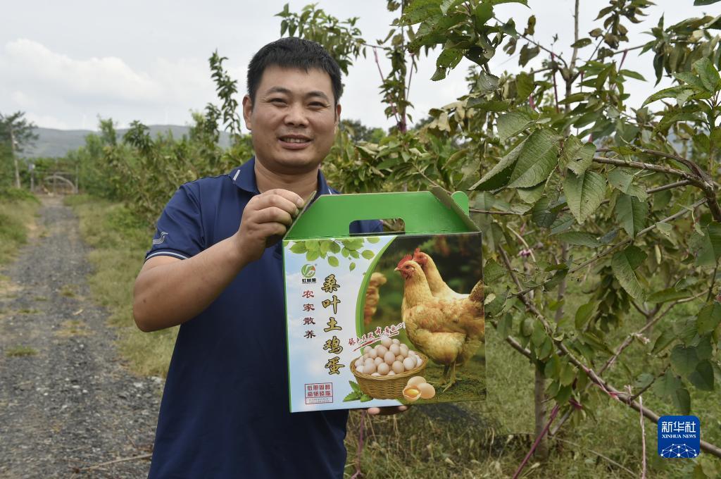 平博备用网
